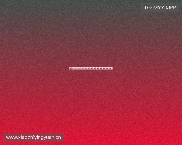 小9体育官网入口最新动态与全面解析,带你了解平台特色与优势