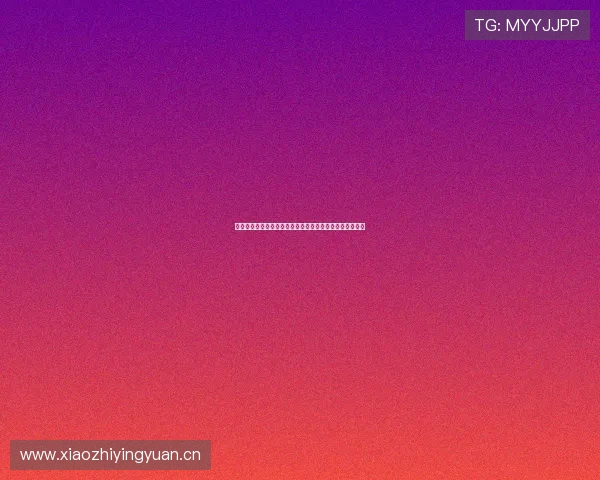 新记体育官网:全面解析新记体育平台功能与用户体验优化 新记体育官网:全面解析新记体育平台功能与用户体验优化